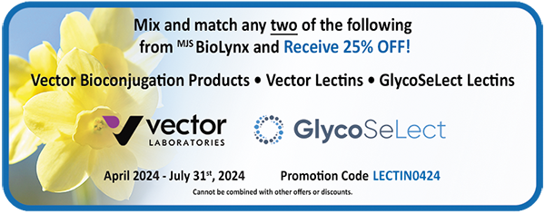 Vector Laboratories & GlycoSeLect - Lectins and Bioconjugation Promotion Banner
