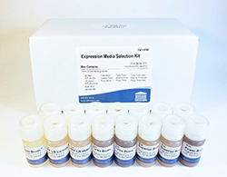 AthenaES® Expression Media Selection Kit