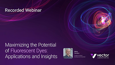 Vector Laboratories Recorded Webinar Banner