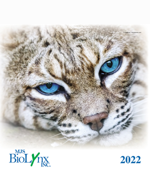 BioLynx 2022 Calendar Cover