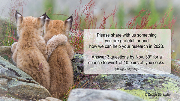 Please share with us something you are grateful for and how we can help your research in 2023. Answer 3 questions by Nov. 30th for a chance to win 1 of 10 pairs of lynx socks.  (Designs may vary)
