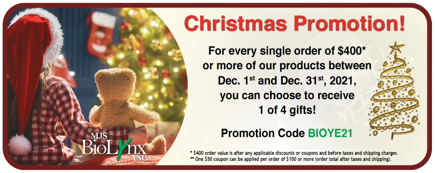 Christmas Promotion Banner 2021