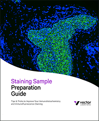 Vector Laboratories – Staining Sample Preparation Guide cover