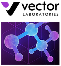 Vector Laboratories Click Chemistry image with logo