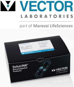 Vector HRP-Antibody All-in-One™ Conjugation Kit