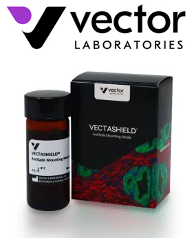 Vector VECTASHIELD® Antifade Mounting Media 