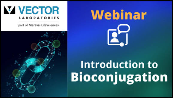 Vector Laboratories Bioconjugation Webinar Banner