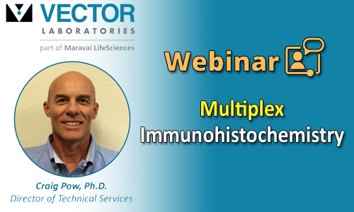 Vector Webinar: Multiplex Immunohistochemistry Banner