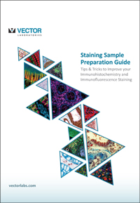 Vector Laboratories - Staining Sample Preparation Guide 2022