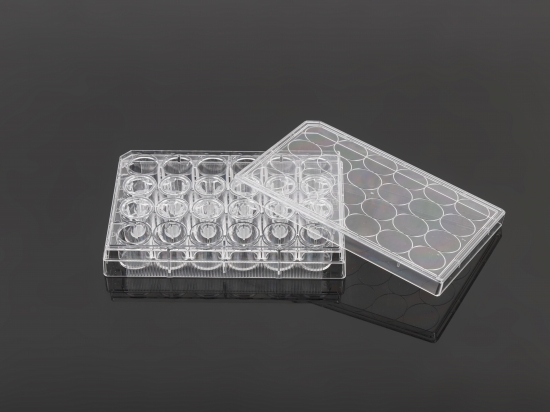 12 Cell Culture Inserts+24 Well Plate
