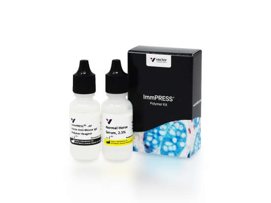 ImmPRESS®-AP Horse Anti-Mouse IgG Polymer Kit, Alkaline Phosphatase