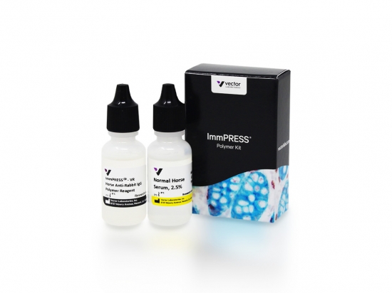 ImmPRESS®-VR Horse Anti-Rabbit IgG Polymer Kit, Peroxidase