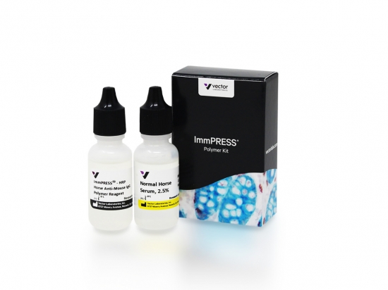 ImmPRESS® Horse Anti-Mouse IgG Polymer Kit, Peroxidase