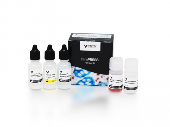 ImmPRESS® Universal PLUS Polymer Kit, Peroxidase (Horse Anti-Mouse/Rabbit IgG)