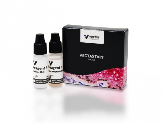 VECTASTAIN® ABC Kit, Peroxidase (Standard)