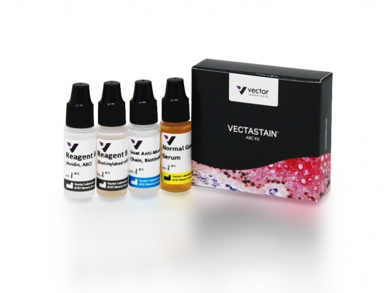 VECTASTAIN® ABC Kit, Peroxidase (Mouse IgM)