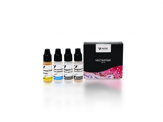 VECTASTAIN® Elite® ABC Kit, Peroxidase (Rabbit IgG)