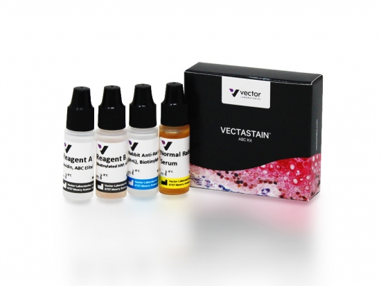 VECTASTAIN® Elite® ABC Kit, Peroxidase (Rat IgG)