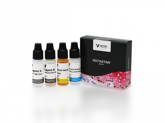 VECTASTAIN® Elite® ABC Universal Kit, Peroxidase (Horse Anti-Mouse/Rabbit IgG)