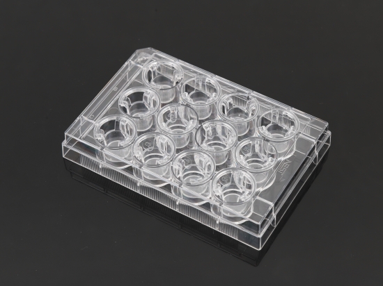 12 Cell Culture Inserts+12 Well Plate