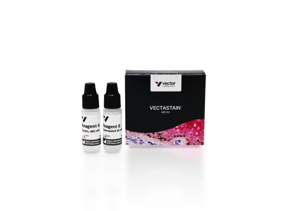 VECTASTAIN® ABC-AP Kit, Alkaline Phosphatase (Standard)