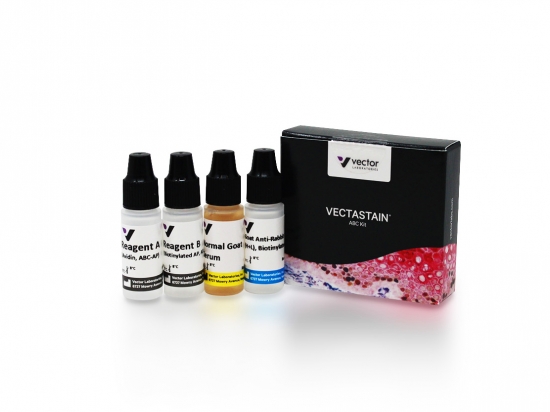 VECTASTAIN® ABC-AP Kit, Alkaline Phosphatase (Rabbit IgG)