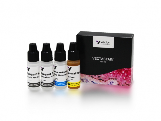 VECTASTAIN® ABC-AP Kit, Alkaline Phosphatase (Rat IgG)