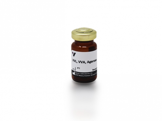 VVL, VVA, Agarose