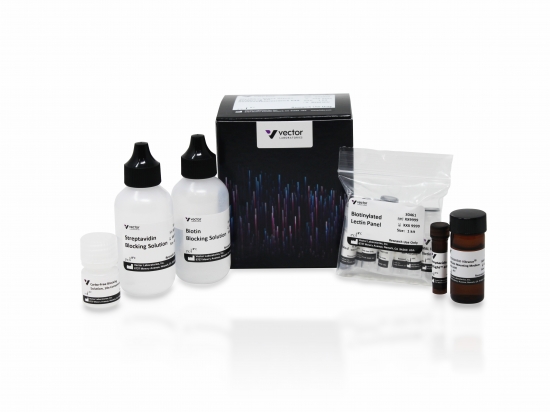 Glysite™ Scout Glycan Screening Kit, Immunofluorescence 649