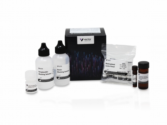 Glysite™ Scout Glycan Screening Kit, Immunofluorescence 488