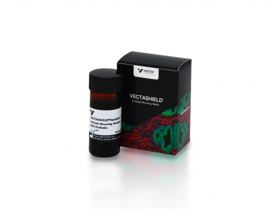 VECTASHIELD® HardSet™ Antifade Mounting Medium with Phalloidin