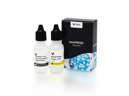 ImmPRESS® Horse Anti-Rabbit IgG Polymer Kit, Peroxidase