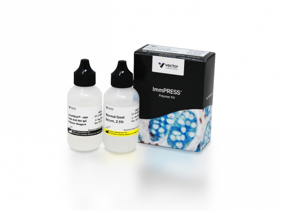 ImmPRESS® Goat Anti-Rat IgG Polymer Kit, Peroxidase