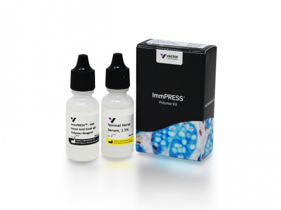 ImmPRESS® Horse Anti-Goat IgG Polymer Kit, Peroxidase