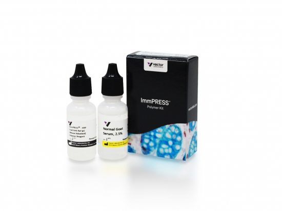 ImmPRESS® Goat Anti-Rat IgG (Mouse Adsorbed) Polymer Kit, Peroxidase