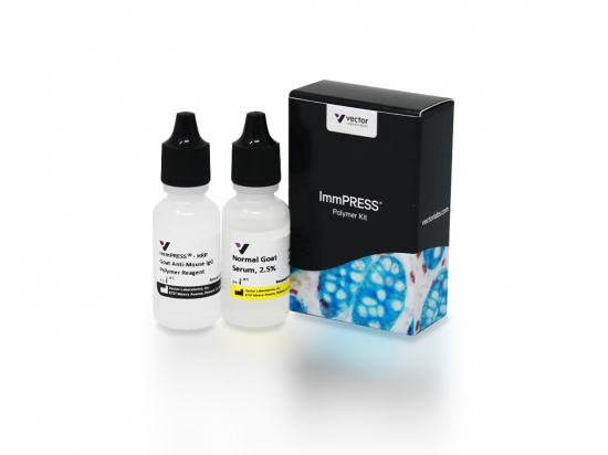 ImmPRESS® Goat Anti-Mouse IgG Polymer Kit, Peroxidase