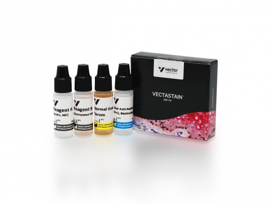 VECTASTAIN® ABC Kit, Peroxidase (Rabbit IgG)