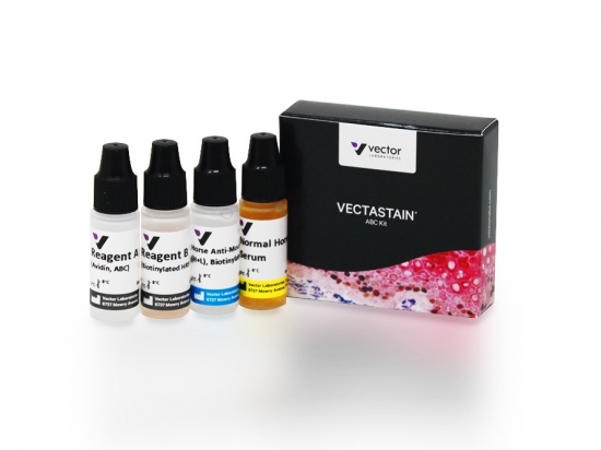 VECTASTAIN® ABC Kit, Peroxidase (Mouse IgG)