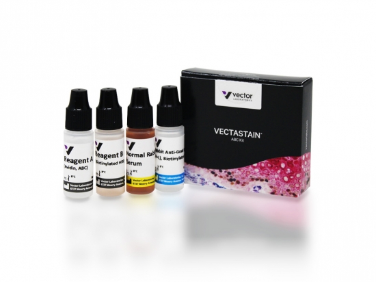 VECTASTAIN® ABC Kit, Peroxidase (Goat IgG)