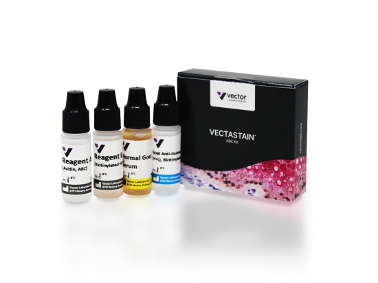 VECTASTAIN® ABC Kit,  Peroxidase (Guinea Pig IgG)
