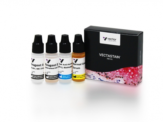 VECTASTAIN® Elite® ABC Kit, Peroxidase (Human IgG)