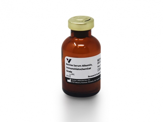 Bovine Serum Albumin, Immunohistochemical Grade