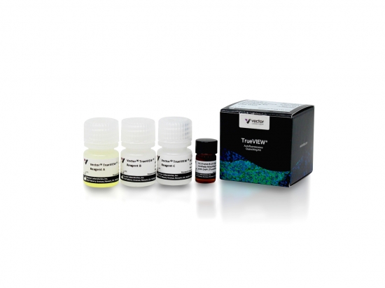 Vector® TrueVIEW® Autofluorescence Quenching Kit with DAPI