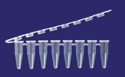 TempAssure 0.2 mL PCR 8-Tube Flex-free Hinge-strips with Attached Optically Clear 8-Cap Strips