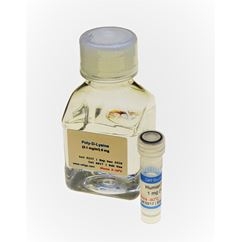 OptiCol™ Rat Collagen Type I, Acid Soluble