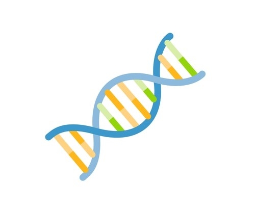 CUTANA™ E. coli Spike-in DNA