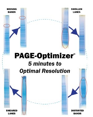 PAGE-Optimizer™ Sample Clean-up for SDS-PAGE