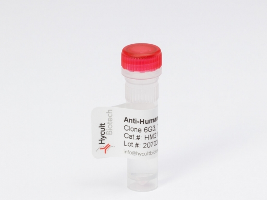 Arginase 1, Human, Monoclonal Antibody 9C5