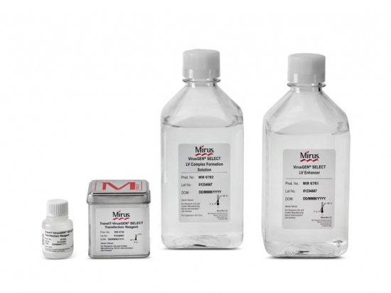 VirusGEN® SELECT LV Transfection Kit, for 10 L of cell culture
