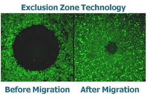 Oris™ 3D Embedded Cell Invasion Assay